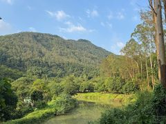 -皇鸽餐厅(龙塘店)