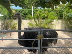 -三亚亚龙湾天域度假酒店