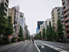 -秋叶原电器街
