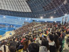 -泉城欧乐堡海洋极地世界