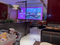 -老板恋上鱼(恒隆广场店)