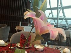 -成都龙之梦大酒店-龙悦中餐厅