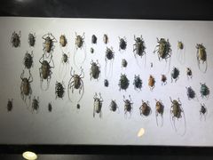 -燕莎友谊商城(亮马桥店)