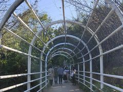 -昆明植物园