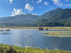 -腾冲北海湿地