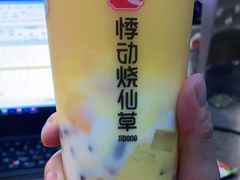 -悸动(山东烟台万达广场店)