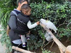 -南宫温泉水世界