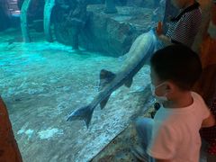 -华夏文旅海洋公园