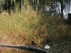 -春风习习