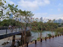 -福田红树林生态公园