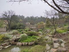 -黄陂区野村谷景区
