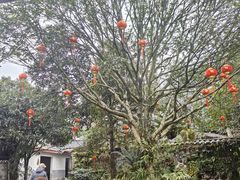 -青城甲(青城山店)