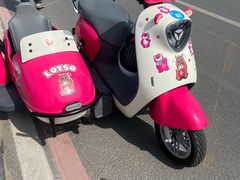 -养马岛旅游度假区