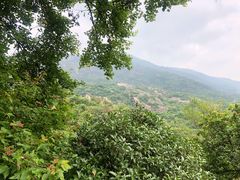 -大罗山风景区