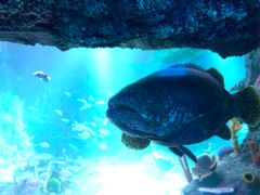 -沈阳海洋探索中心