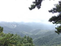 -内乡宝天曼生态旅游区