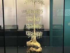 -广西壮族自治区博物馆