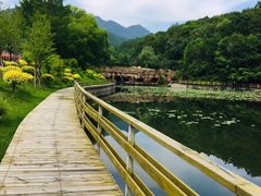 -吉林市朱雀山国家森林公园