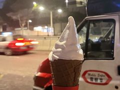 -富豪雪糕车流动点(尖沙咀店)
