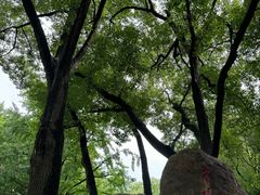 -上海方塔园