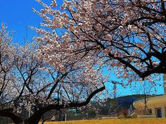 -大连外国语大学(旅顺校区)