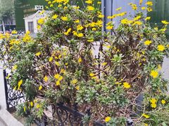 -凯德广场(武胜路店)