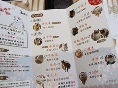 -猫小主咖啡·猫咖cat cafe(福田店)