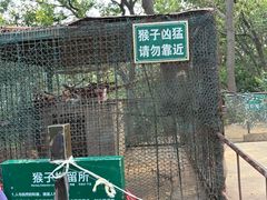 -南湾湖