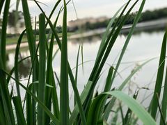 -美兰湖景区