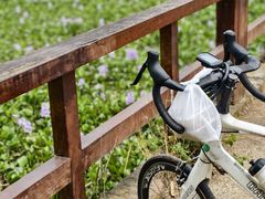 -白鹭湾湿地公园