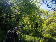 -秦岭终南山世界地质公园翠华山景区