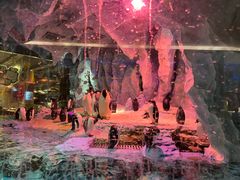 -帝企鹅自助餐厅•儿童岛•真企鹅(长隆企鹅酒店)