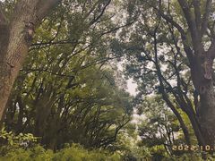 -上海方塔园