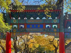 -北京国子监胡同