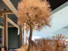 -牛角烧肉(步步高星城天地店)