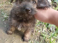 -布噜游泳俱乐部(东闸路店)