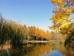 -东郊湿地公园