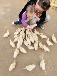 -萌宠亲子动物乐园(槐房万达店)