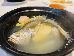 清炖小黄瓜鱼-一德轩·闽.粤料理(福州广场店)