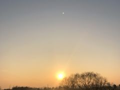 -合肥滨湖国家森林公园