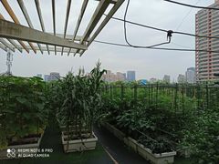 -巴黎春天(浦建店)