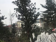 -郫都区农科村景区