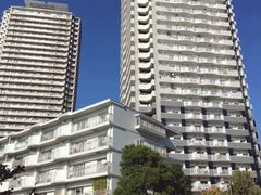 -台场海滨公园船码头