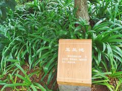 -七彩云南古滇温泉山庄