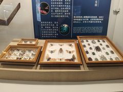-上海大自然野生昆虫馆(东方明珠·爬宠昆虫探索中心)