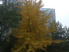 -辽宁大学(崇山校区)
