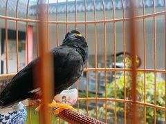 -乖乖佳花园山庄·私房菜(阿哈湖公园店)