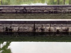 android_upload_pic-宁波九龙湖开元度假村