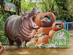 -广州长隆飞鸟乐园