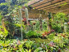 -深圳仙湖植物园